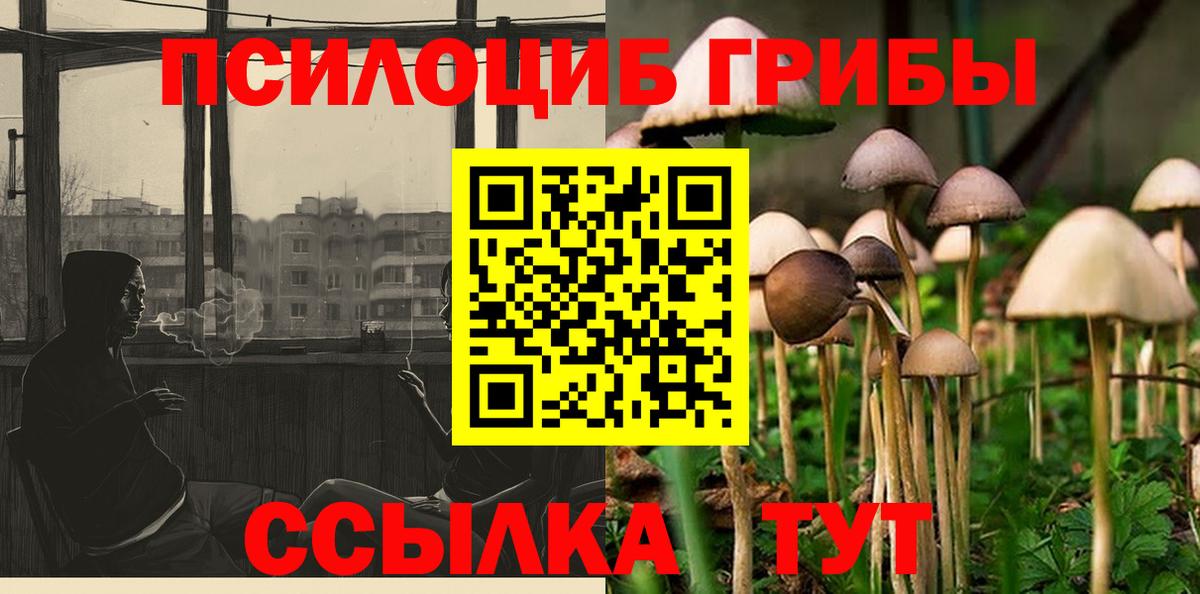 Галлюциногенные грибы прущие грибы  Вход с VPN  Галлюциногенные грибы Psilocybine cubensis  Верхняя Салда 