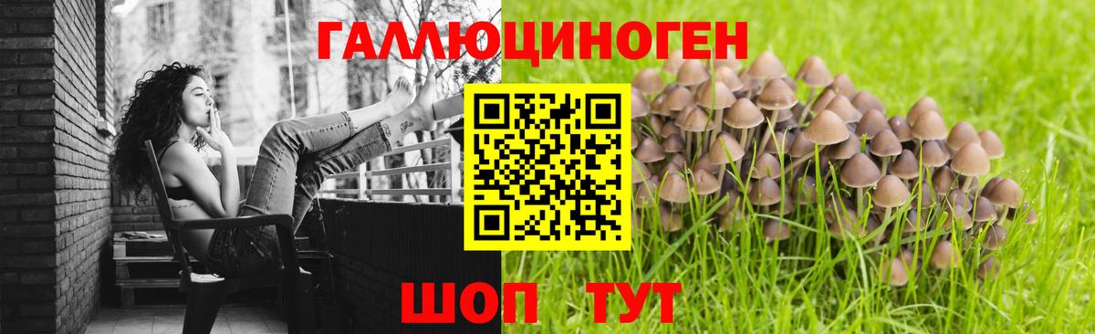Псилоцибиновые грибы GOLDEN TEACHER Верхняя Салда